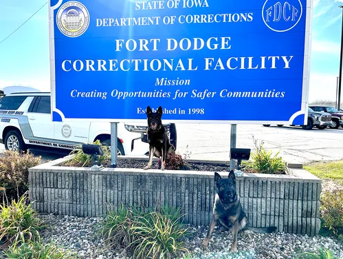 K9s Otto and Tank in front of the FDCF sign