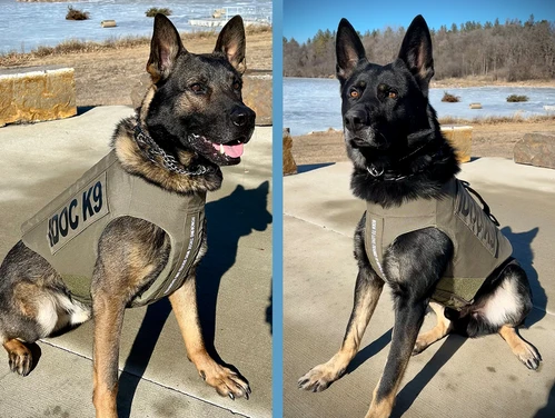 Feature Image - K9s - New.jpg