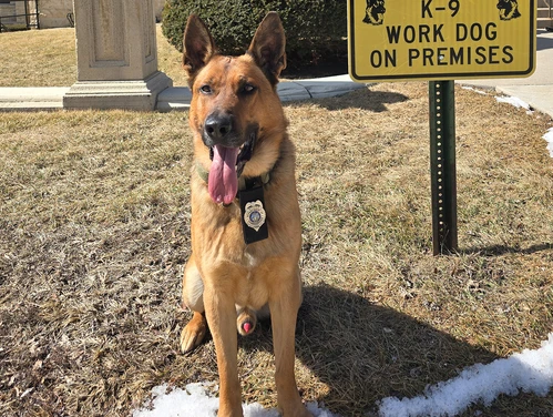 Feature Image - K9s - Khaos.jpg
