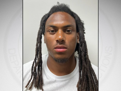 McGee in front of a gray background