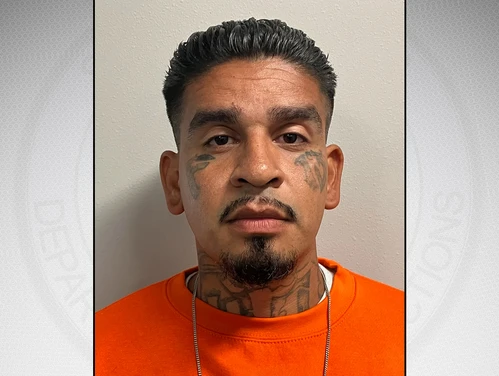 Lira in front of a gray background