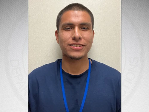 Mallory on a gray background