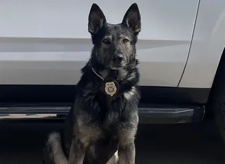 K9 Bradley next to a vehicle
