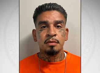 Lira in front of a gray background