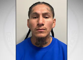 Hamilton on a gray background